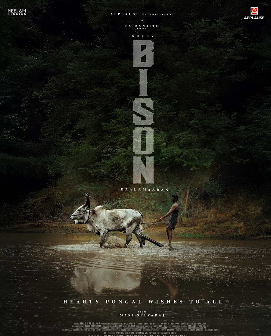 Bison Kaalamaadan poster