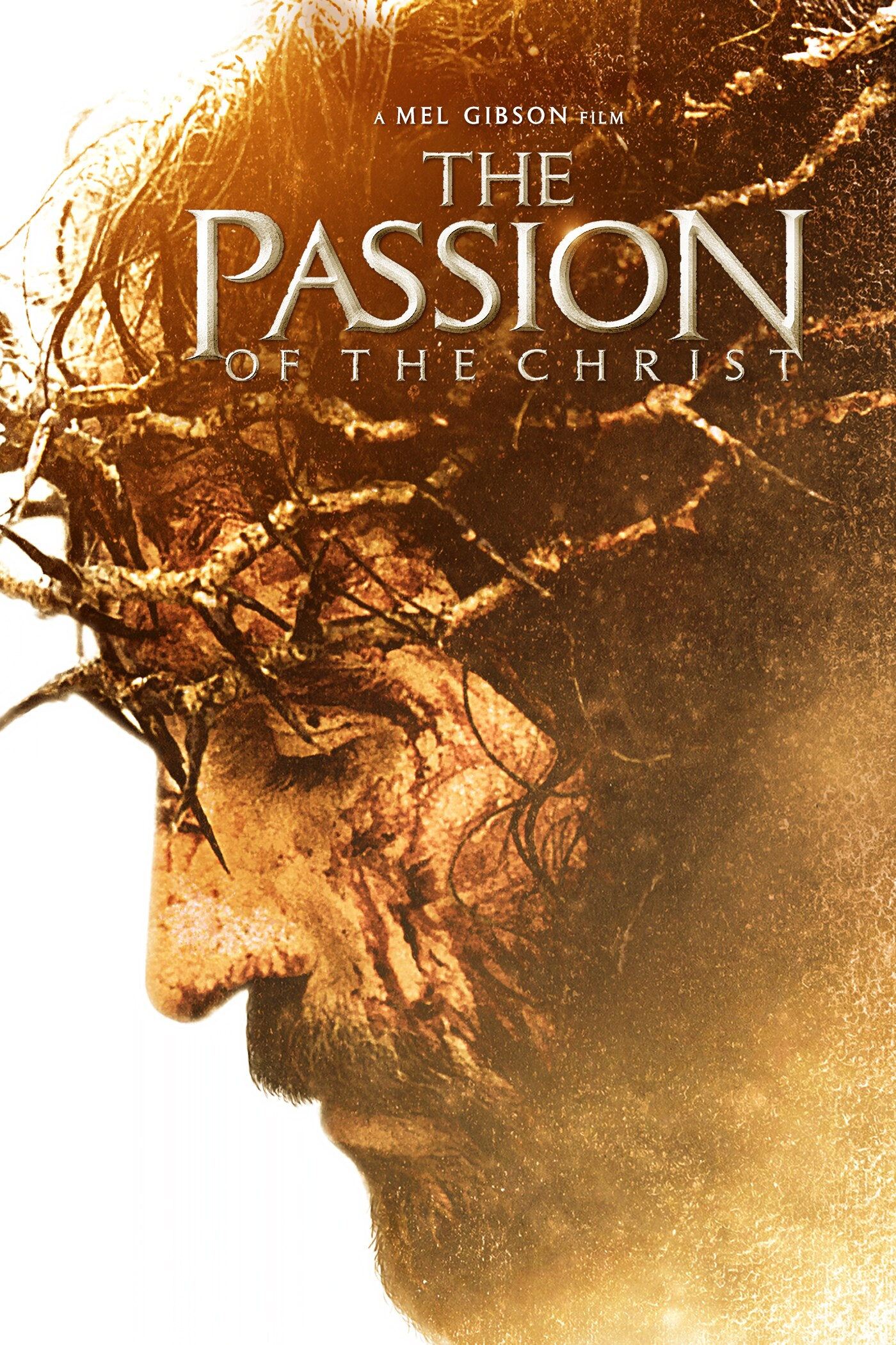 The Passion of the Christ poster